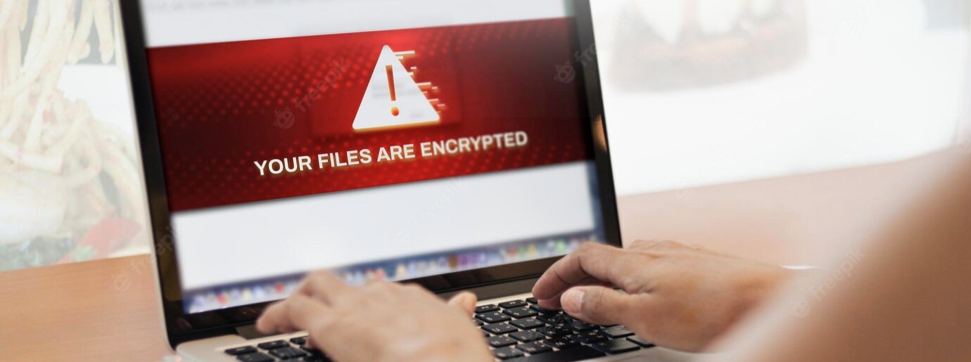 bild blog ransomware destroy